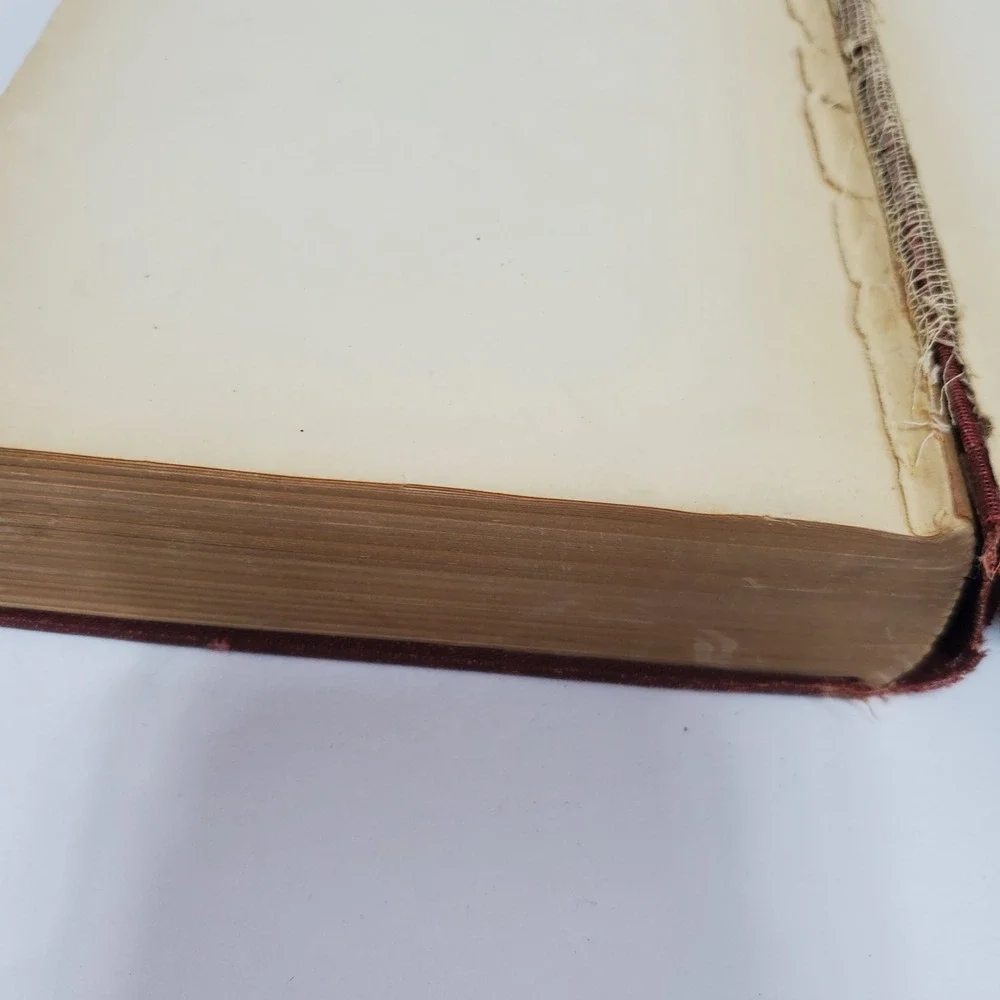 Charles Dickens Hard Times Pictures From Italy‎ Volume XII Antique Book